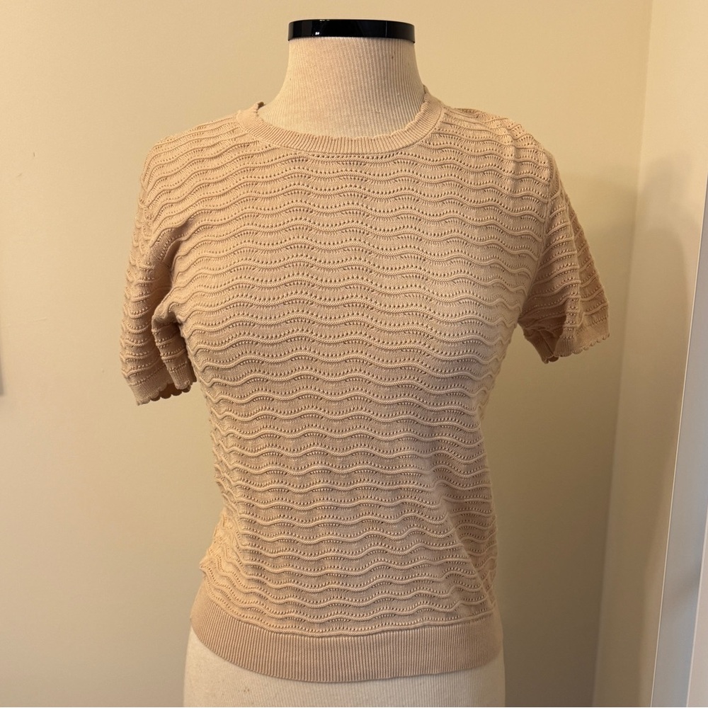 Ann Taylor Wavy Stitch Scalloped Sweater Tee - Cotton NWT